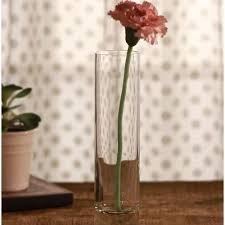 Transpa Glass Flower Pot At Rs 200