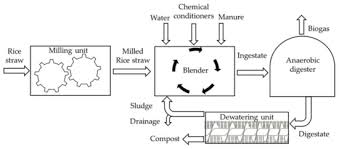 Anaerobic Digestion Of Rice Straw