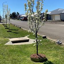 Steel Garden Lawn Edging Australia
