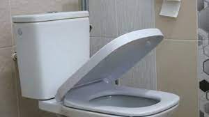 Automatic Smooth Closing Of The Toilet