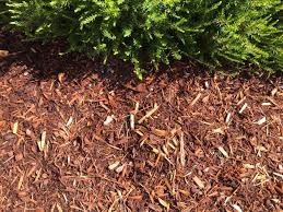 Mulch Improves Clay Soil