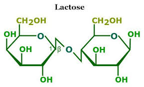Lactose Formula Structure Properties