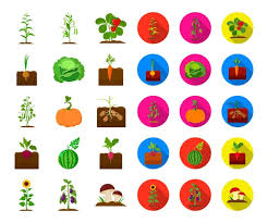 Plant Vegetable Cartoon Icons In Set