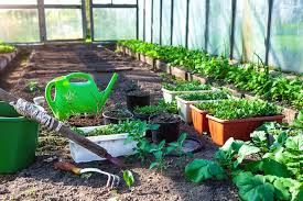 Indoor Vegetable Garden Kit