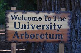 About The University Arboretum