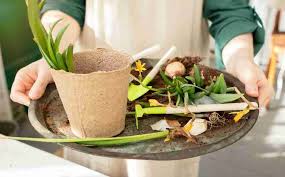 7 Spring Garden Tips Scott Davies