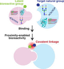 Biospecific Chemistry For Covalent