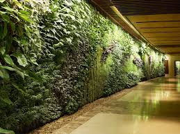 Green Wall Plantscapes