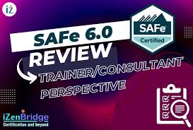 Safe 6 0 Review From A Trainer