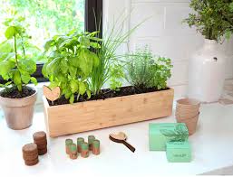 Indoor Herb Garden Kit Planter