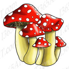 Buy 3 Get 1 Free Spotted Mushrooms