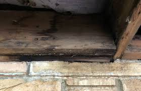 rotten wood when to repair when to