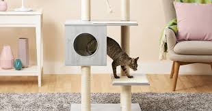 10 Best Cat Trees The Strategist