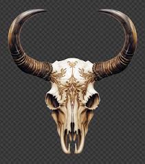 Cow Skull Design For Wall Decoration