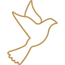 Dove Icon And Dove Logo In