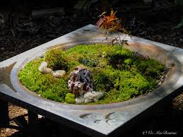 Create A Diy Natural Moss Garden A