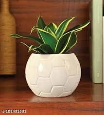 White Ceramic Flower Pot For Garden At