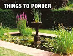 Thinking Of A Garden Pond David