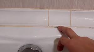 Black Mold In The Bathroom The Bat