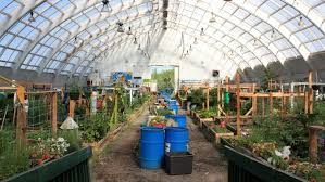 Greenhouses Aim To Bring Fresh Produce
