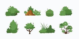 Shrubs Vector Art Icons And Graphics