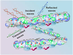 Electromagnetic Wave Absorption