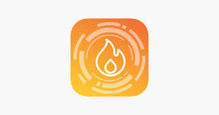 Whalen Premier Fireplace On The App
