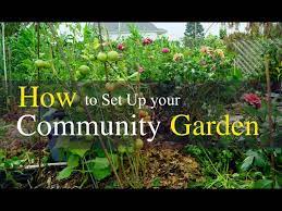 Community Garden Plot In 2022