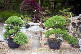 Bonsai The Japanese Garden