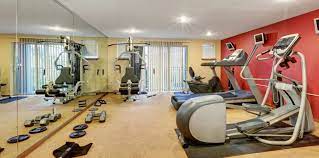 Home Gym Mirrors Your Essential Guide