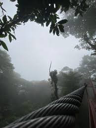 Guided Tour In Monteverde Cloud Forest