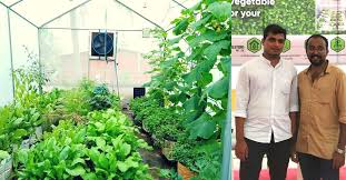 Smart Gardens That Let You Grow Veggies