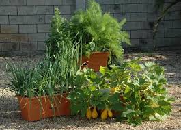 21 Growbox Gardening Ideas Pulling