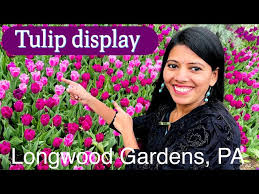 Tulip And Spring Display Longwood