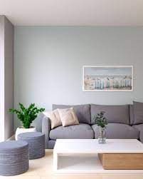 Grayish Blue Wall Paint In Living Room