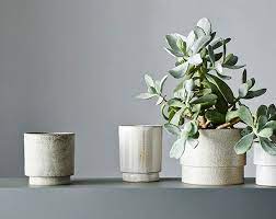 Hot Pots Aussie Ceramic Brands To Know