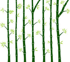Bamboo Wall Vector Images Over 1 100