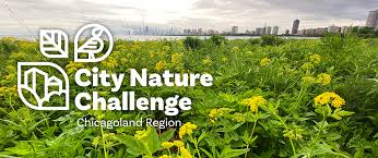Nature Challenge Project Inaturalist