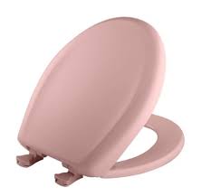 Confetti Pink Toilet Seat Nationwide