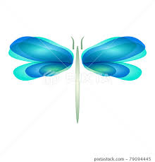 Dragonfly Flat Icon With Soft