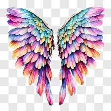 Vibrant Angel Wings For