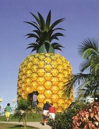 Big Pineapple In Australia Www