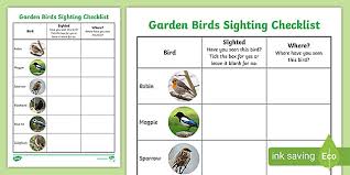 Bird Identification Worksheets
