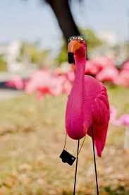 Pink Plastic Flamingos