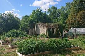 Camping In A Permaculture Smallholding