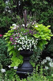 Traditional Garden Urns And