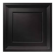 Vinyl Black Ceiling Panel Case