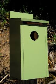 Building Owl Boxes Curbstone Valley