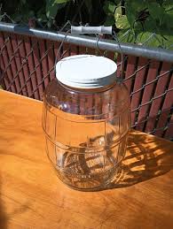 Gallon Barrel Jar