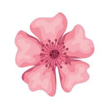 Beautiful Flower Color Pink Nature Icon